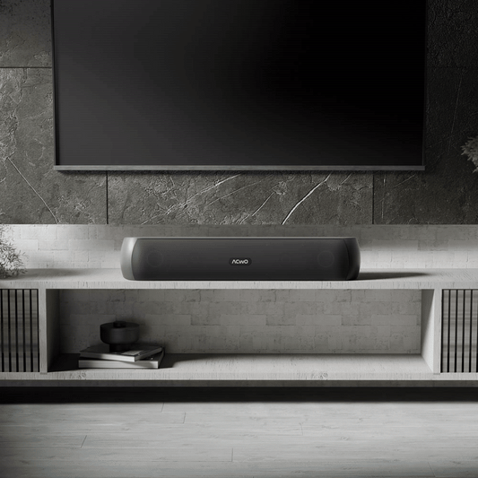 CARNIwAL 101: TWS Soundbar Speakers