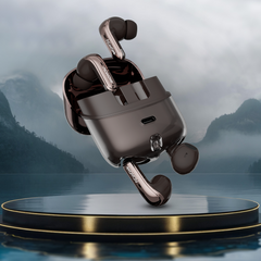 DwOTS Fire ANC Earbuds