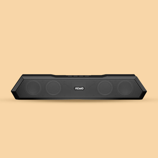 CARNIwAL 100-Portable Speaker