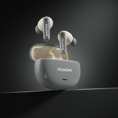 DwOTS 727 Earbuds