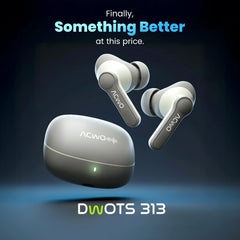 DwOTS 313