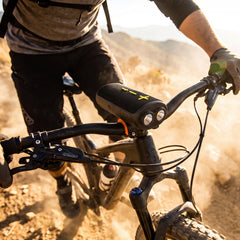 ACwO Carniwal Trek